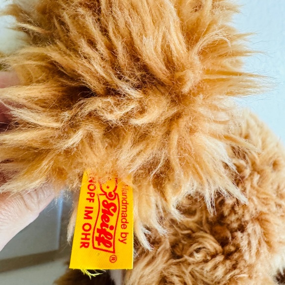 Curlie Cockapoo Puppy - Picture 3 of 7